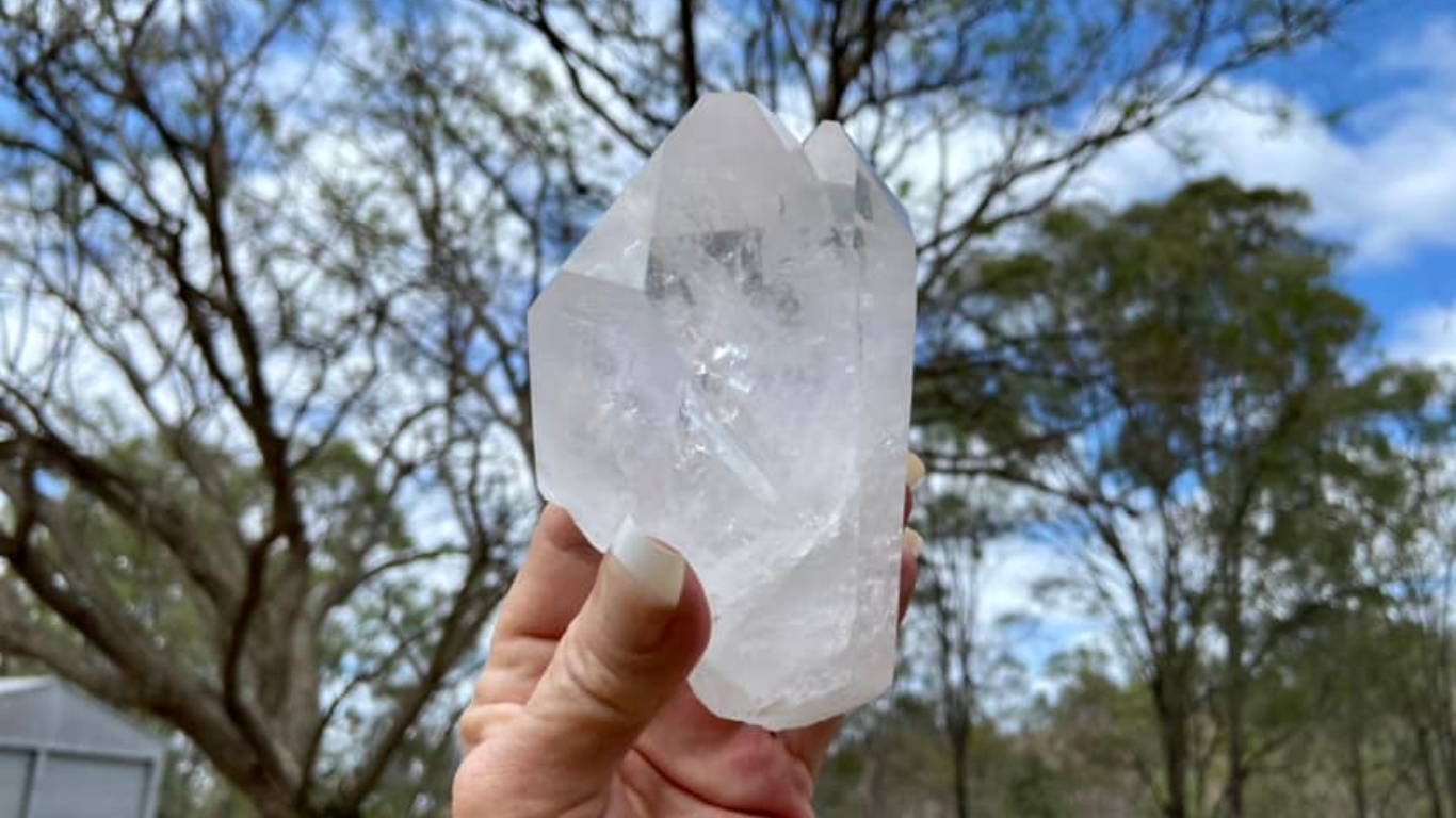 Lemurian Seed Tantric Twin with Rainbows and Record Keepers AAA+ Grade