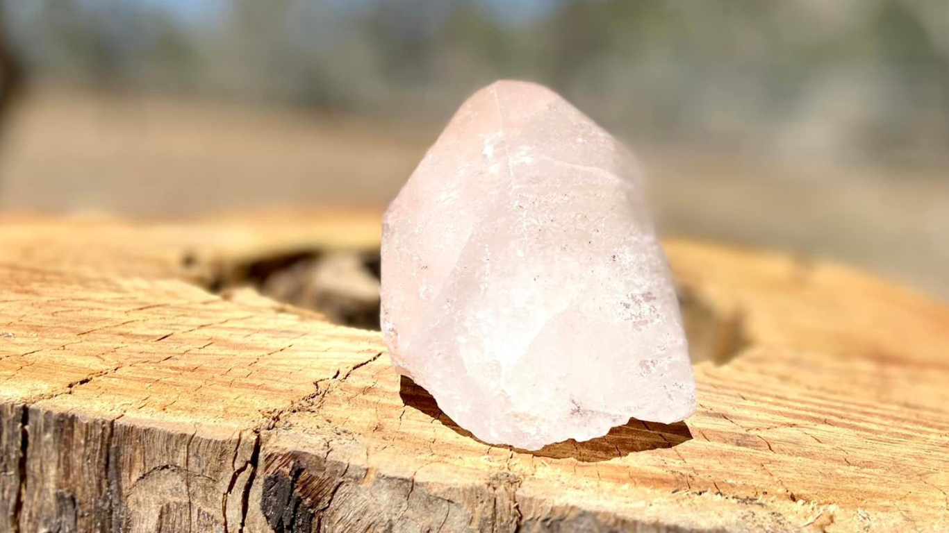 Pleiadian Starbary Pink Himalayan Point with Record Keeperrs