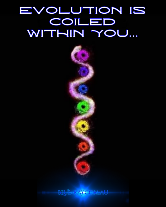 What is a Chakra???
