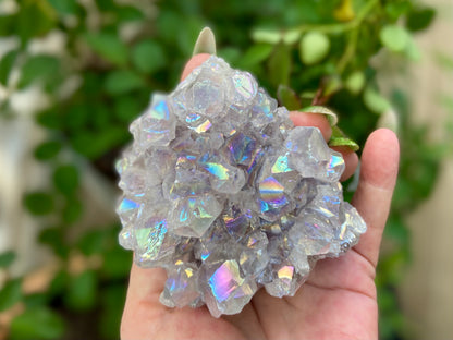 Pearl Amethyst Angel Aura Quartz Cluster Standing
