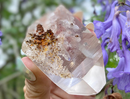 Lodolite Lemurian Inclusion Quartz With IsIs Window