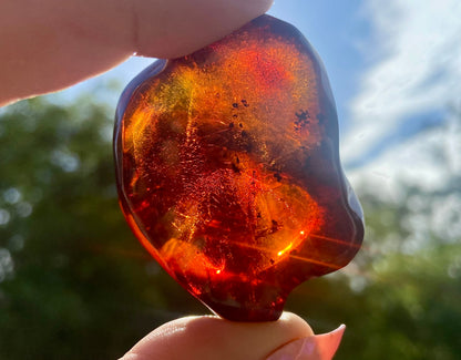 Rare Red Fire Baltic Amber with Ancient Organic Inclusions: Collector's Gem