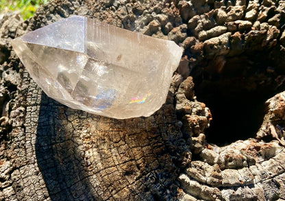 Smokey Citrine Pleiadian Starbray | Lemurian Seed Quartz Point | Smoky Citrine | Manifestation & Inner Child Crystal | Brazil – 358g
