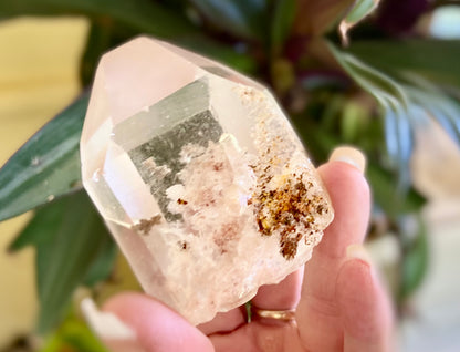 Lodolite Lemurian Inclusion Quartz With IsIs Window