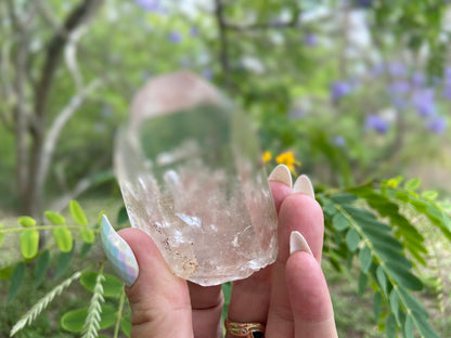Lodolite Lemurian Inclusion Quartz With IsIs Window