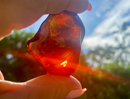 Rare Red Fire Baltic Amber with Ancient Organic Inclusions: Collector's Gem