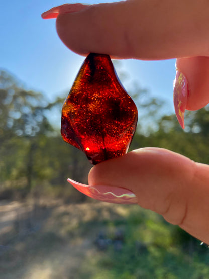 Rare Red Fire Baltic Amber with Ancient Organic Inclusions: Collector's Gem