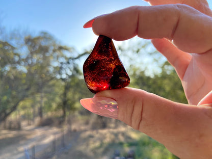 Rare Red Fire Baltic Amber with Ancient Organic Inclusions: Collector's Gem