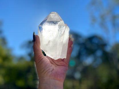 Pleiadian Starbrary Lemurian Seed Time Keeper Tantric Twin with Rainbows AAA Grade 581 Grams