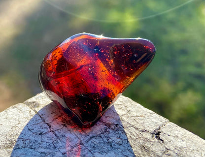 Rare Red Fire Baltic Amber with Ancient Organic Inclusions: Collector's Gem