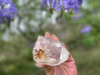 Lodolite Lemurian Inclusion Quartz With IsIs Window