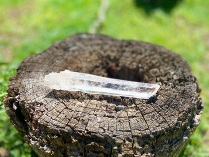 Elite Lemurian Seed Quartz Crystal | Ancient Wisdom | Record Keepers |Phantasmagoric Rainbow |120 Grams