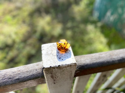 Polished Honey Amber (full of bugs)