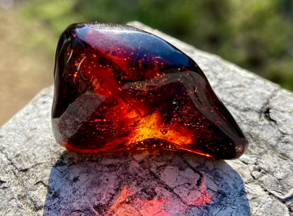 Rare Red Fire Baltic Amber with Ancient Organic Inclusions: Collector's Gem