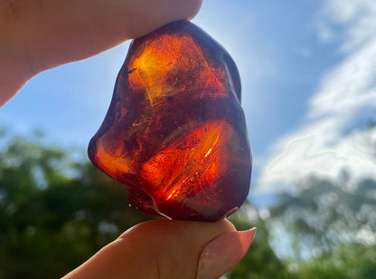 Rare Red Fire Baltic Amber with Ancient Organic Inclusions: Collector's Gem