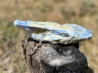 Blue Kyanite Blade Cluster with Quartz and Mica