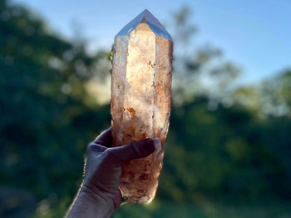 Tangerine Lemurian Seed Quartz Natural Point