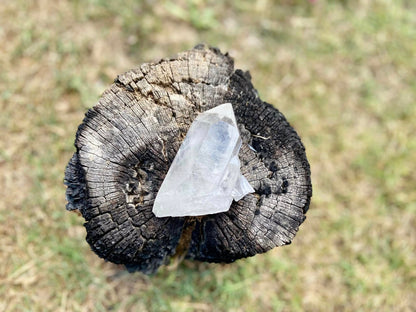 Lemurian Seed Quartz With Bridge and Dolphin