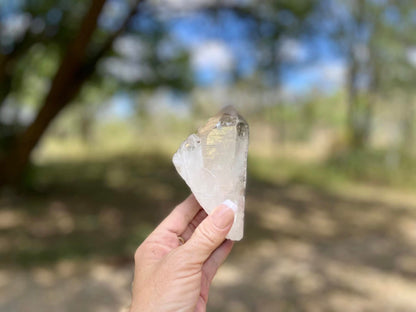 Lemurian Seed Quartz Point