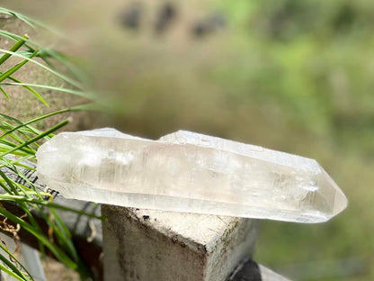 Lemurian Seed Quartz Imprint Channeler Natural Point