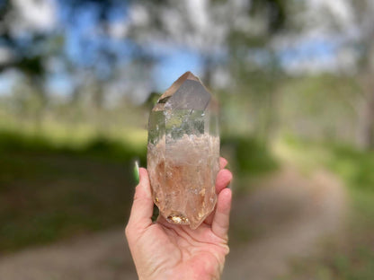 Lodolite Lemurian Inclusion Quartz Double Terminated