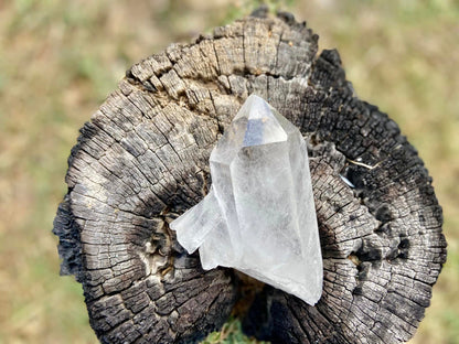 Lemurian Seed Quartz With Bridge and Dolphin