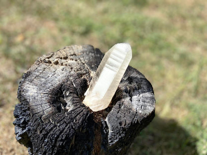Shamanic Phantom Dream Lemurian Quartz with Pleiadian Starbrary