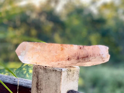 Tangerine Lemurian Seed Quartz Natural Point