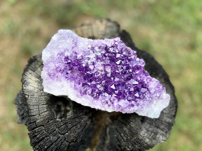Amethyst Cluster