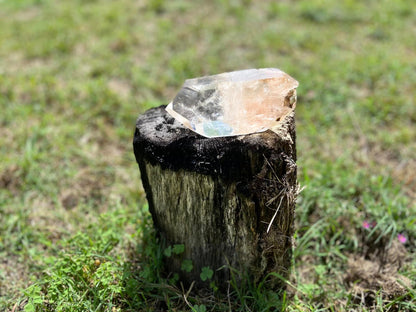 Lodolite Lemurian Inclusion Quartz Double Terminated