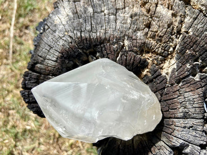 Shamanic Phantom Dream Lemurian Quartz
