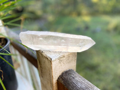 Lemurian Seed Quartz Imprint Channeler Natural Point