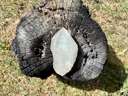 Shamanic Phantom Dream Lemurian Quartz