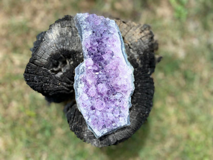 Amethyst Cluster