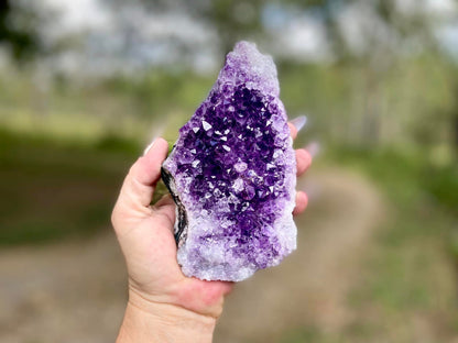 Amethyst Cluster