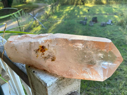 Tangerine Lemurian Seed Quartz Natural Point