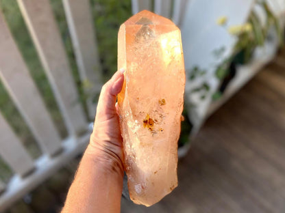 Tangerine Lemurian Seed Quartz Natural Point