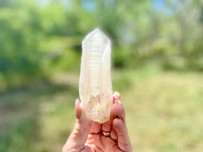 Shamanic Phantom Dream Lemurian Quartz with Pleiadian Starbrary