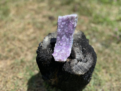 Amethyst Cluster