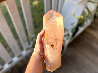 Tangerine Lemurian Seed Quartz Natural Point