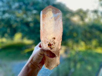 Tangerine Lemurian Seed Quartz Natural Point