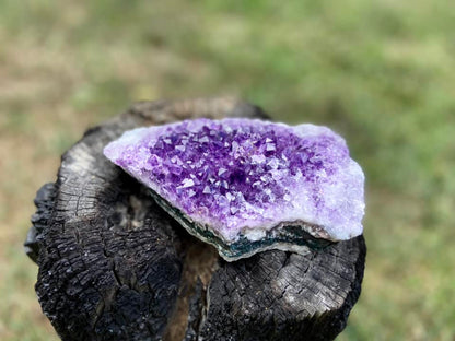 Amethyst Cluster