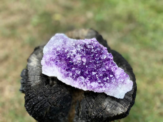 Amethyst Cluster