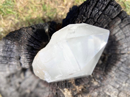 Shamanic Phantom Dream Lemurian Quartz