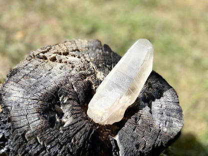 Shamanic Phantom Dream Lemurian Quartz with Pleiadian Starbrary