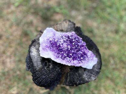 Amethyst Cluster