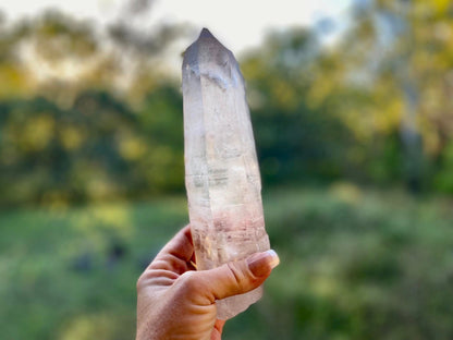 Lemurian Seed Quartz Imprint Channeler Natural Point