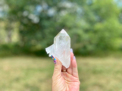 Lemurian Seed Quartz With Bridge and Dolphin
