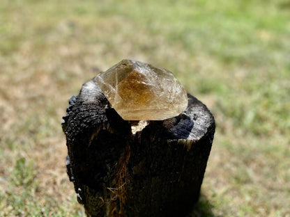 Smokey Citrine Freeform with Rainbow Veils