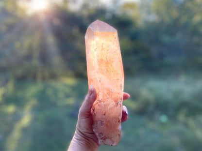 Tangerine Lemurian Seed Quartz Natural Point